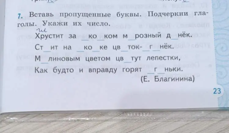 Вставь пропущенные буквы, подчеркни глаголы и укажи их число.