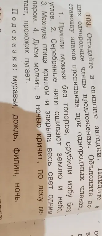 Отгадай и спиши загадки, найди однородные члены.