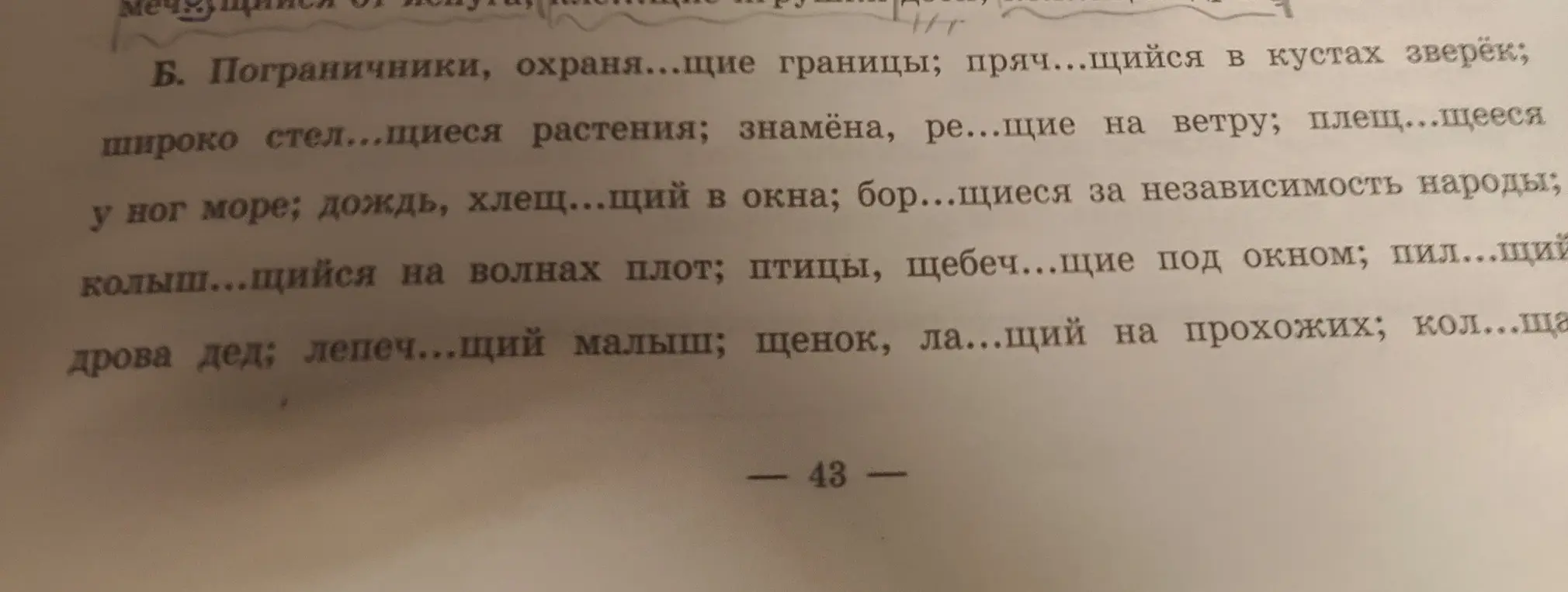Вставь пропущенные буквы в окончаниях причастий и прилагательных.