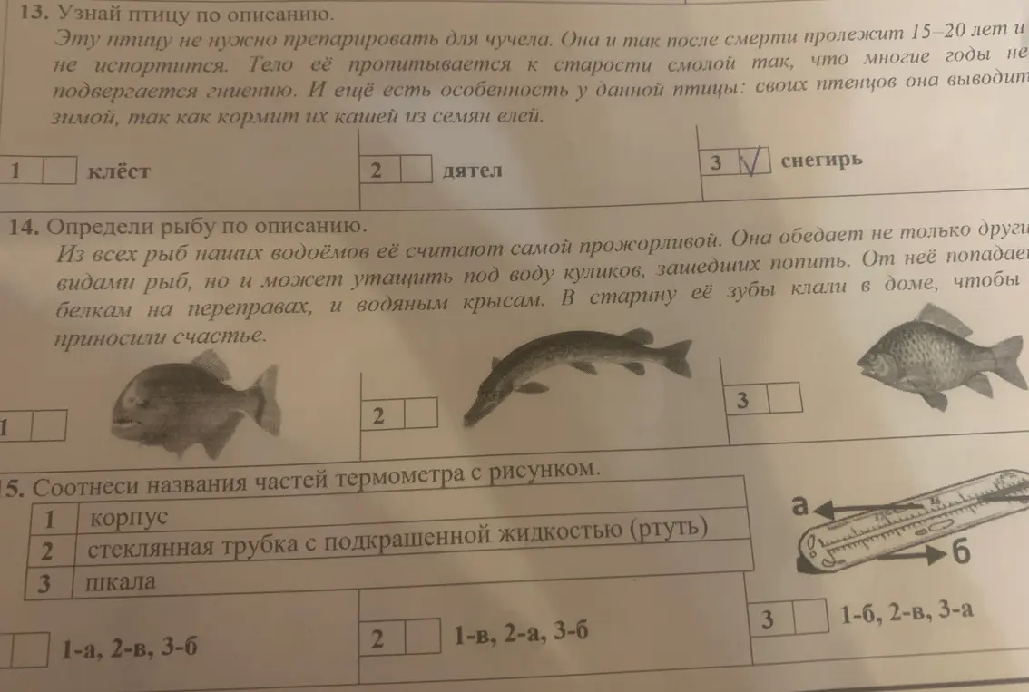 Узнай птицу по описанию, определи рыбу по описанию и соотнеси названия частей термометра с рисунком.