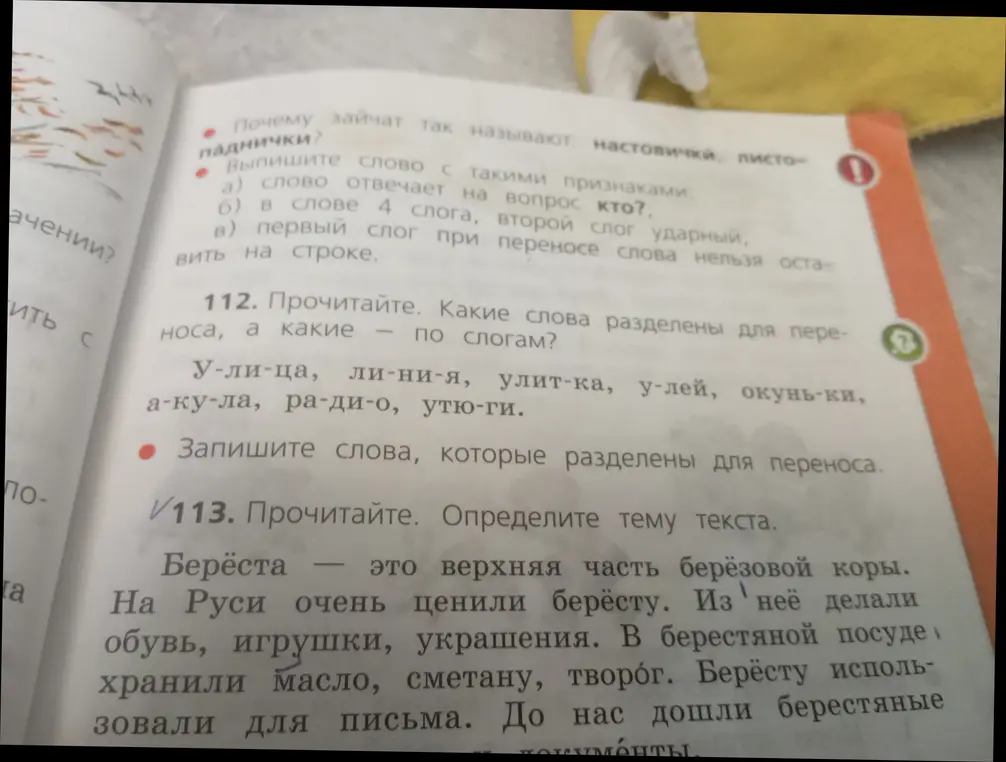 Определи, какие слова разделены для переноса и определи тему текста.