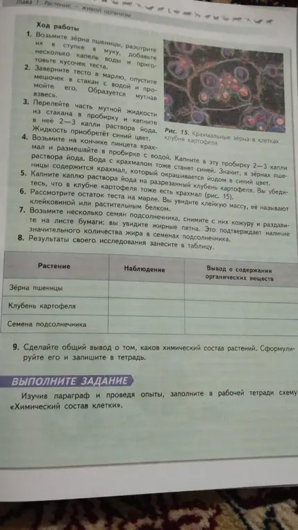 Заполни таблицу и сделай вывод о химическом составе растений.
