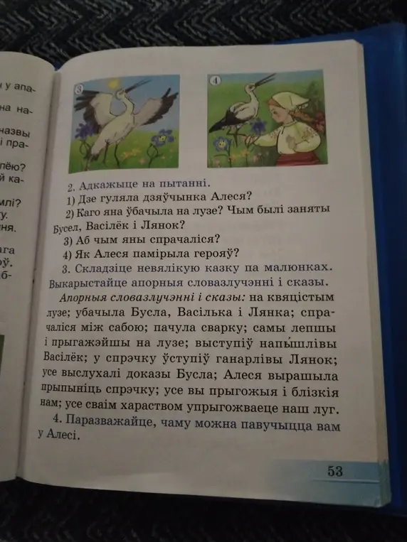 Адкажыце на пытанні: 1) Дзе гуляла дзяўчынка Алеся?