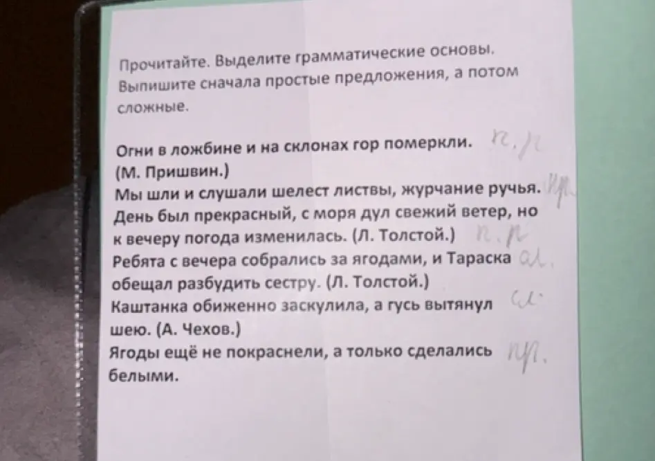 Прочитай текст, выдели грамматические основы и выпиши сначала простые предложения, а потом сложные.
