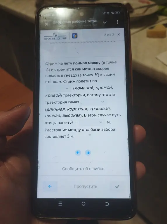 Выбери траекторию и характеристику траектории движения стрижа.