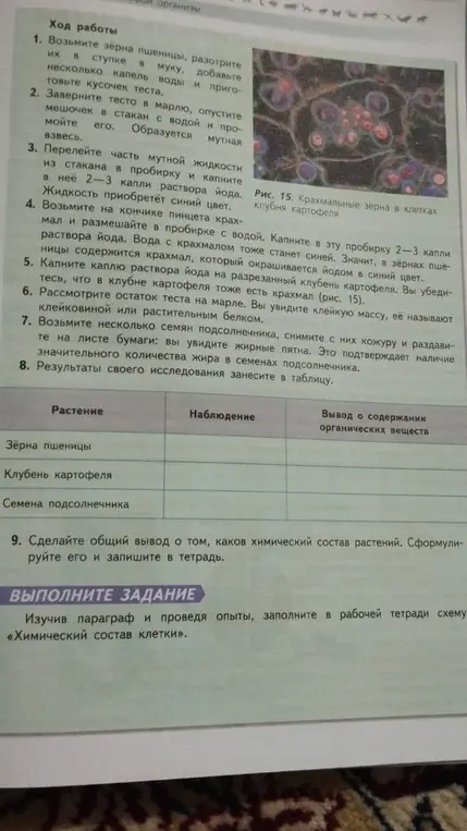 Заполни таблицу результатами своего исследования.