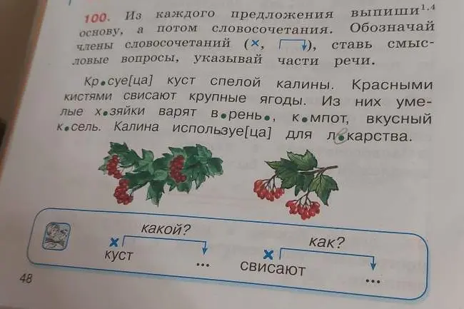 Выпиши из каждого предложения основу, а потом словосочетания, обозначая члены словосочетаний и указывая части речи.