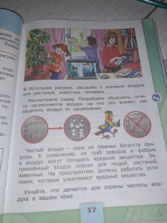 Используя рисунок, расскажи о значении воздуха для растений, животных, человека.