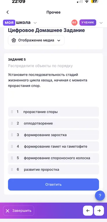 Установи последовательность стадий жизненного цикла хвоща, начиная с момента прорастания спор.