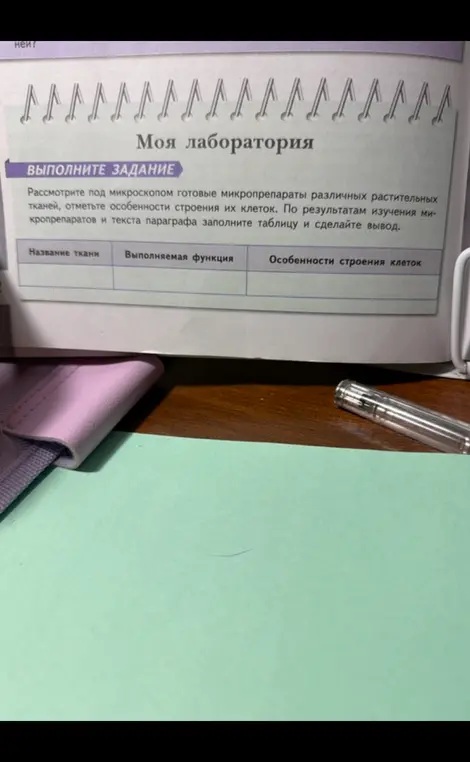 Заполни таблицу по микропрепаратам растительных тканей и сделай вывод.
