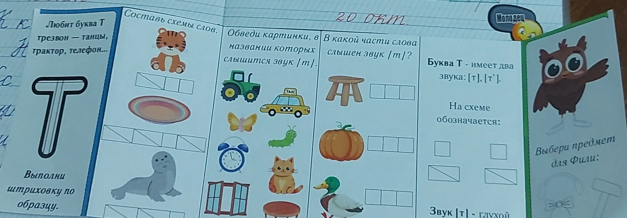 Составь схемы слов, обведи картинки со звуком [т], определи место звука [т] в слове, обозначь букву Т на схеме, выбери предмет для Фили.