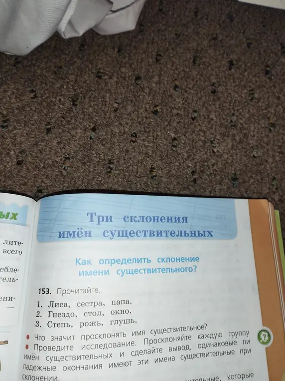 Просклоняй имена существительные: лиса, сестра, папа; гнездо, стол, окно; степь, рожь, глушь и сделай вывод, одинаковые ли падежные окончания имеют эти имена существительные при склонении.