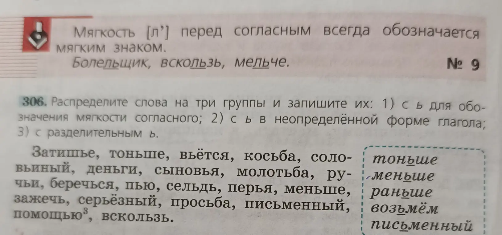 Распредели слова на три группы: с Ь для обозначения мягкости согласного, с Ь в неопределённой форме глагола, с разделительным Ь.