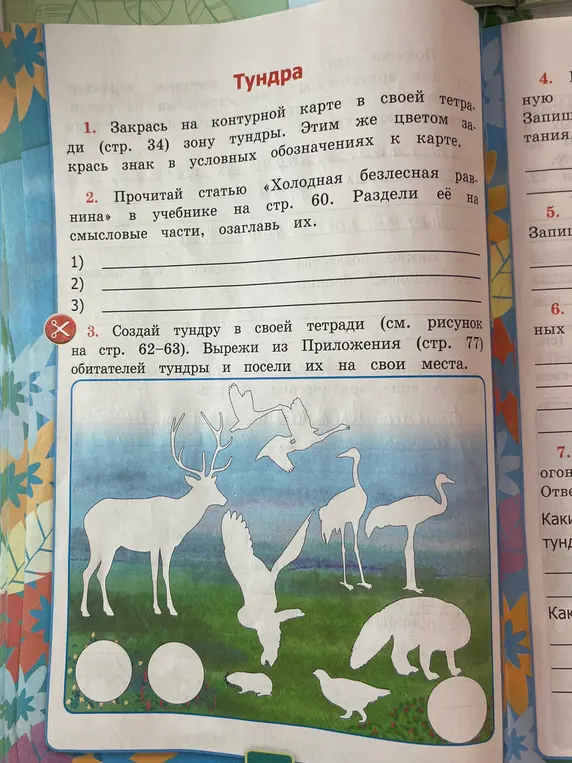 Закрась зону тундры на контурной карте, прочитай статью "Холодная безлесная равнина", создай тундру в своей тетради.