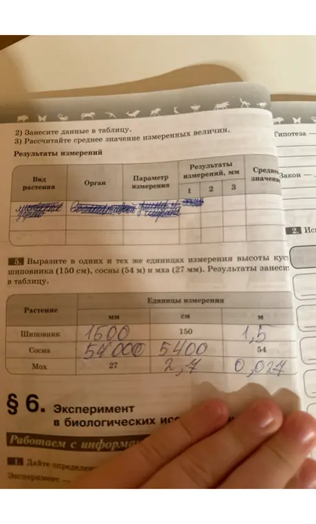 Вырази в одних и тех же единицах измерения высоты куста шиповника (150 см), сосны (54 м) и мха (27 мм). Результаты занеси в таблицу.