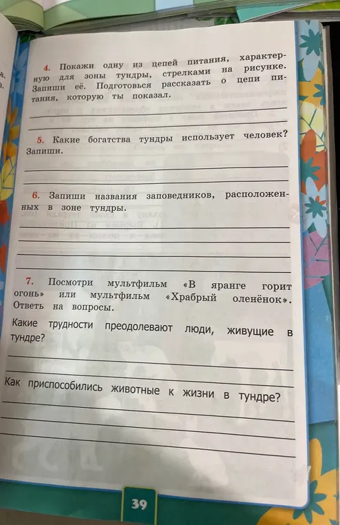 Ответь на вопросы по тексту о тундре.