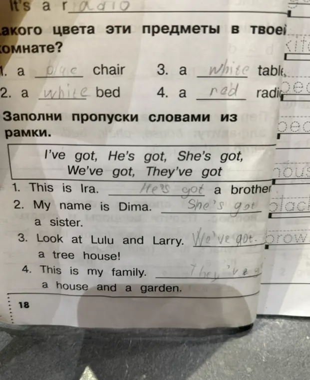 Заполни пропуски словами из рамки: I've got, He's got, She's got, We've got, They've got.