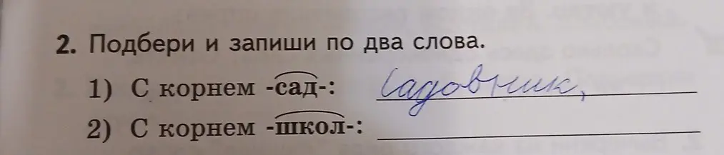 Подбери и запиши по два слова с корнем -сад- и -школ-.