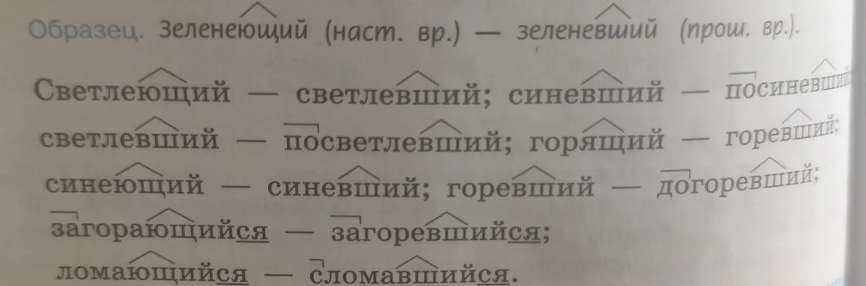 Покажи примеры образования форм действительных причастий прошедшего времени от действительных причастий настоящего времени.