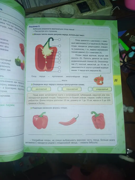 Впиши числа около рисунка перца, используя текст.