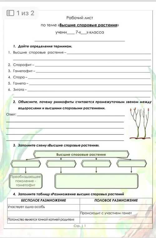 Дай определения терминам, объясни, почему риниофиты считаются промежуточным звеном, заполни схему и таблицу, установи соответствие и дополни схему жизненного цикла.