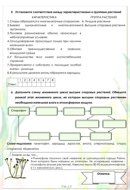 Дай определения терминам, объясни, почему риниофиты считаются промежуточным звеном, заполни схему и таблицу, установи соответствие и дополни схему жизненного цикла.