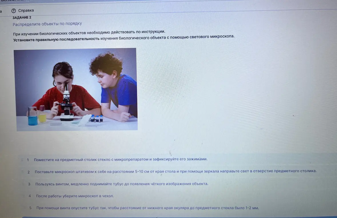 Определи правильную последовательность изучения биологического объекта с помощью светового микроскопа.