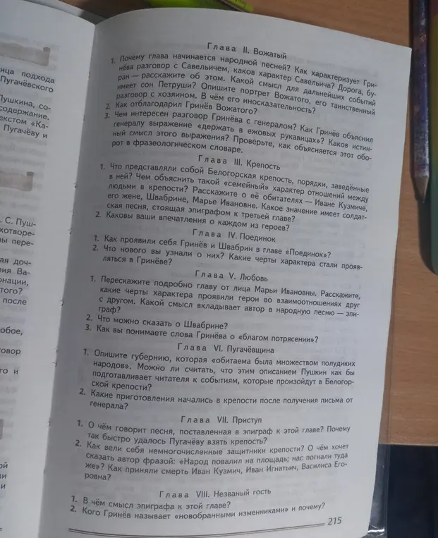 Ответь на вопросы к главе II «Вожатый» по «Капитанской дочке» Пушкина.