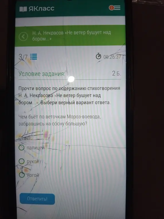 Прочти вопрос по содержанию стихотворения Н. А. Некрасова «Не ветер бушует над бором...» и выбери верный вариант ответа: Чем бьёт по веточкам Мороз-воевода, забравшись на сосну большую?