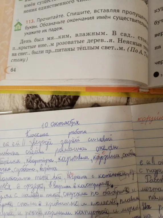 Прочитай, спиши, вставляя пропущенные буквы, обозначь окончания имён существительных и укажи их падеж.