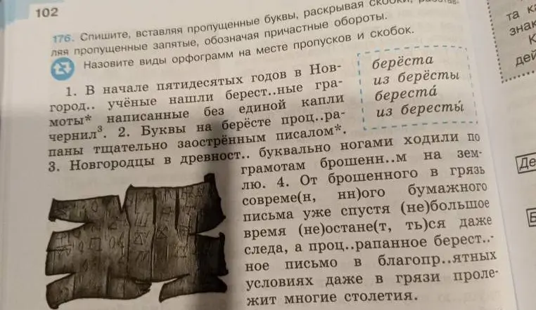Спиши, вставляя пропущенные буквы, раскрывая скобки, расставляя пропущенные запятые, обозначая причастные обороты. Назови виды орфограмм на месте пропусков и скобок.