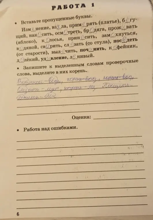 Вставь пропущенные буквы и запиши к выделенным словам проверочные слова, выделив в них корень.