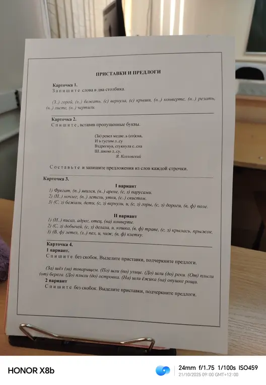 Выполни задания на карточках: вставь пропущенные буквы, раздели слова на столбики, составь предложения и выдели приставки и предлоги.
