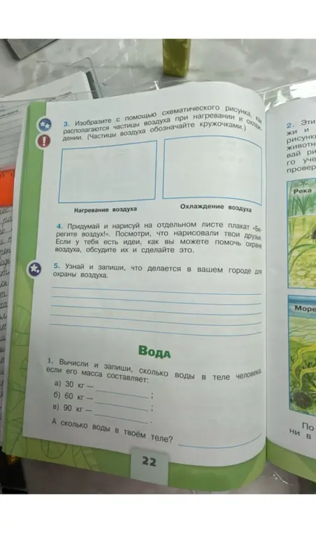 Вычисли и запиши, сколько воды в теле человека, если его масса составляет: a) 30 кг