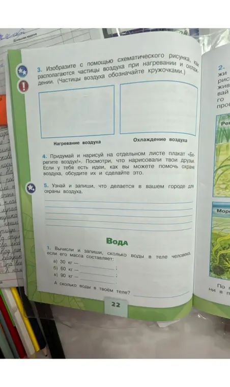 Вычисли и запиши, сколько воды в теле человека, если его масса составляет 30 кг.