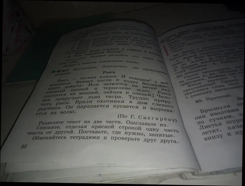 Раздели текст на две части и озаглавь их.