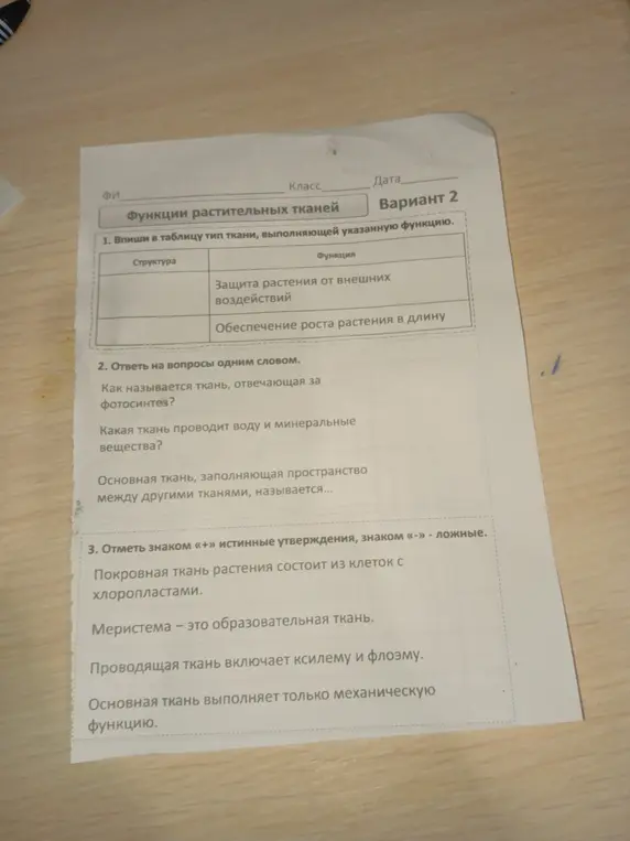 Впиши в таблицу тип ткани, выполняющей указанную функцию; ответь на вопросы одним словом; отметь знаком + истинные утверждения, знаком - ложные.