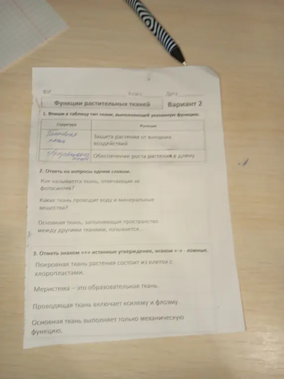Впиши в таблицу тип ткани, отвечающей за указанную функцию, ответь на вопросы одним словом и отметь знаком плюс или минус истинные или ложные утверждения.