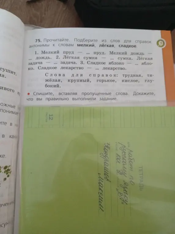 Подбери из слов для справок антонимы к словам мелкий, лёгкая, сладкое.