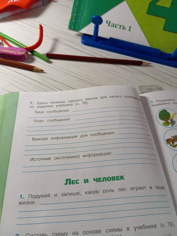 Напиши сообщение о роли леса в твоей жизни.