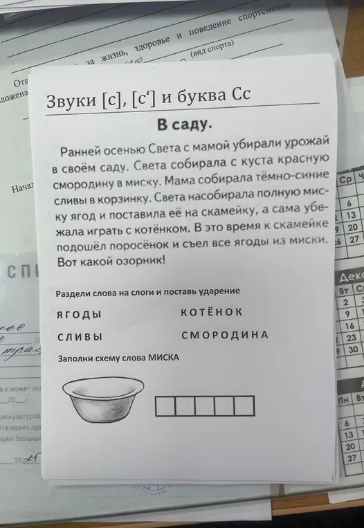 Раздели слова на слоги и поставь ударение: ЯГОДЫ, СЛИВЫ, КОТЁНОК, СМОРОДИНА. Заполни схему слова МИСКА.