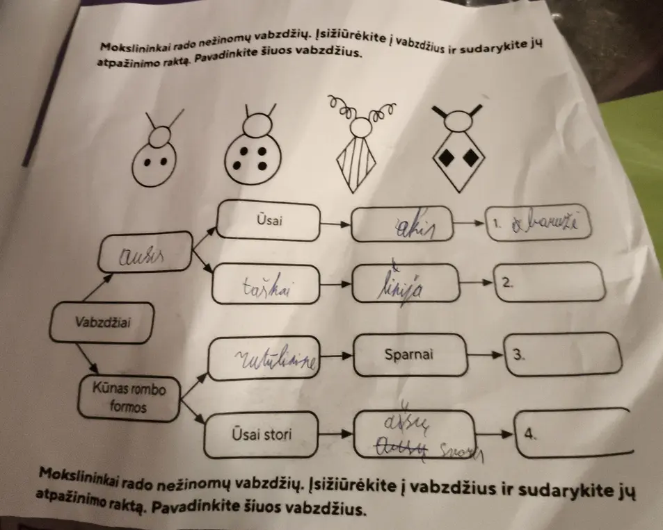 Рассмотри картинки насекомых и заполни пропуски, чтобы получился ключ для их определения.