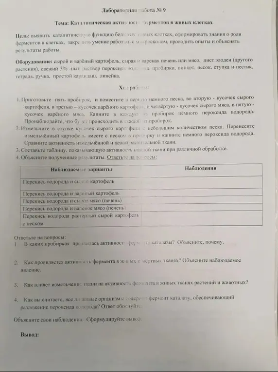 Ответь на вопросы к лабораторной работе № 9 про каталитическую активность ферментов в живых клетках.