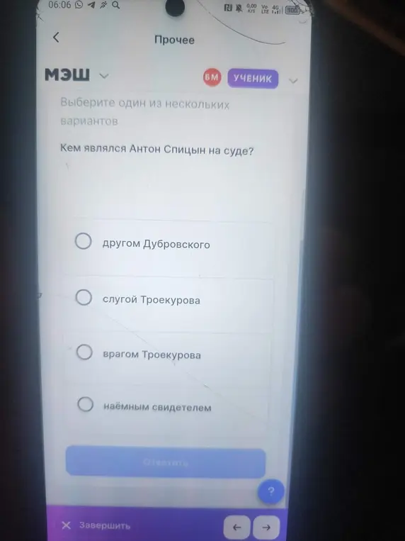 Ответь, кем являлся Антон Спицын на суде?