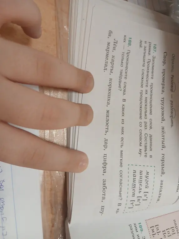 Определи, в каких словах мягкие согласные, а в каких только твердые.