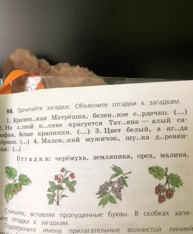 Прочитай загадки и объясни отгадки к ним.