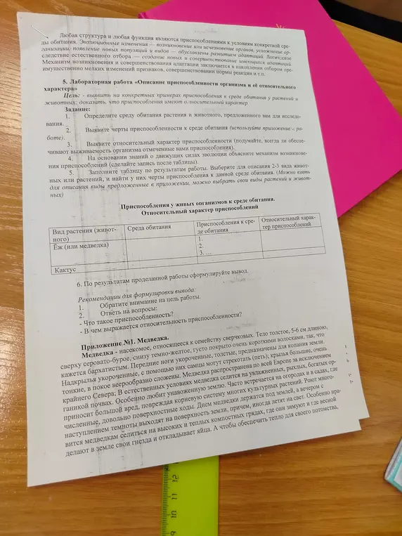 Сравни медведку с кактусом и сделай таблицу с выводом