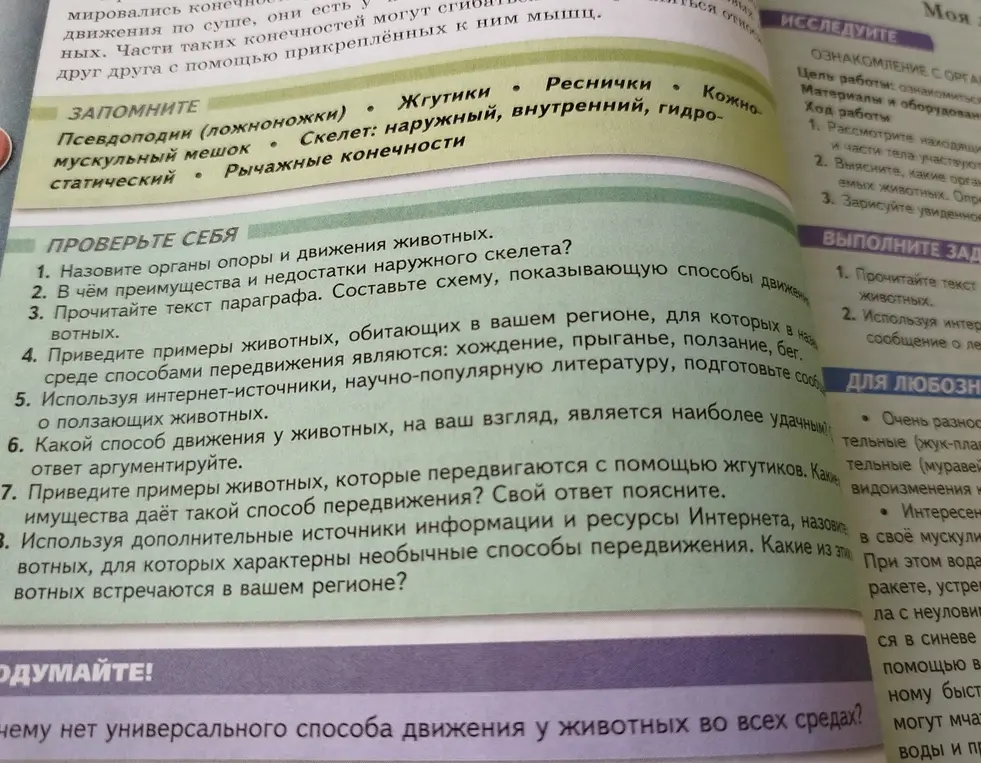 Ответь на вопросы по биологии: назови органы опоры и движения животных, в чём преимущества и недостатки наружного скелета и другие.