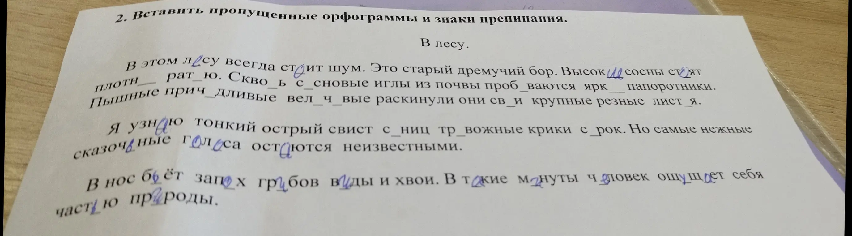 Вставь пропущенные орфограммы и знаки препинания.