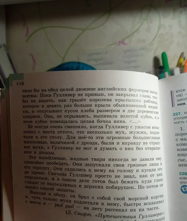 Найди все средства выразительности в отрывке из книги Д. Свифта «Путешествие в страну великанов» и посчитай, сколько их там.